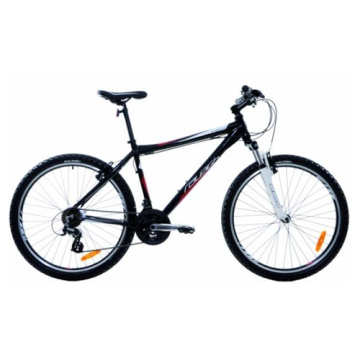 VTT VTT alliage pas cher (FP-MTB-A039)